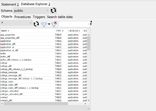 Screenshot showing the Database Explorer tab.