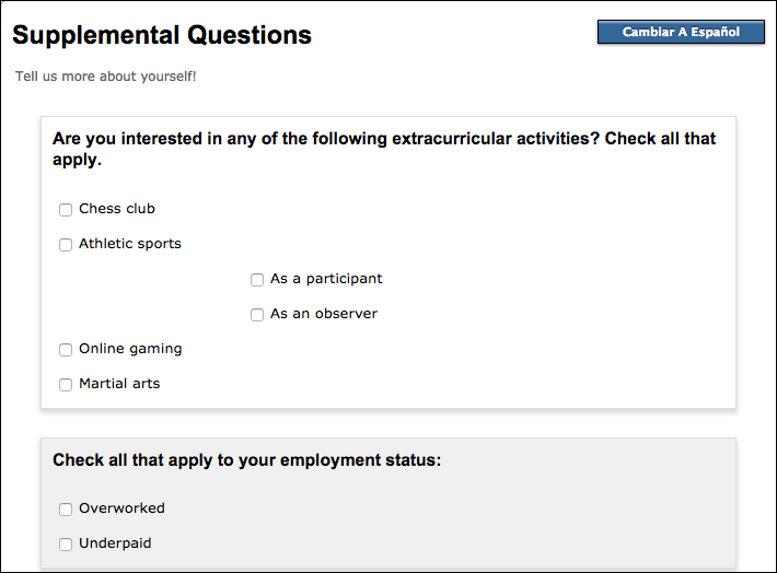 Screenshot above shows an example format and layout of two supplemental questions sections displayed in English.